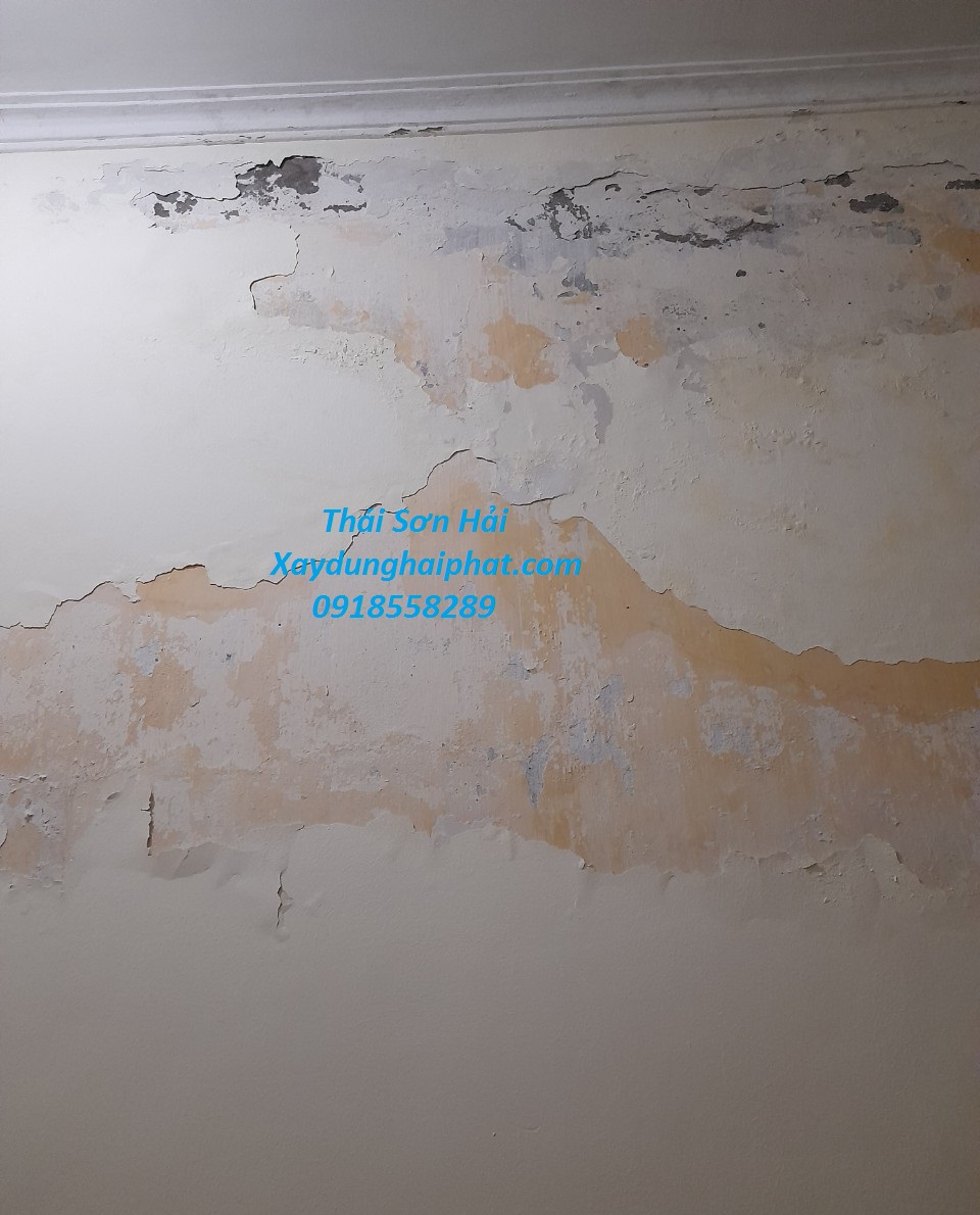 Cách làm sạch tường nhà bị mốc, sơn chống ẩm mốc cho tường nhà tốt ...