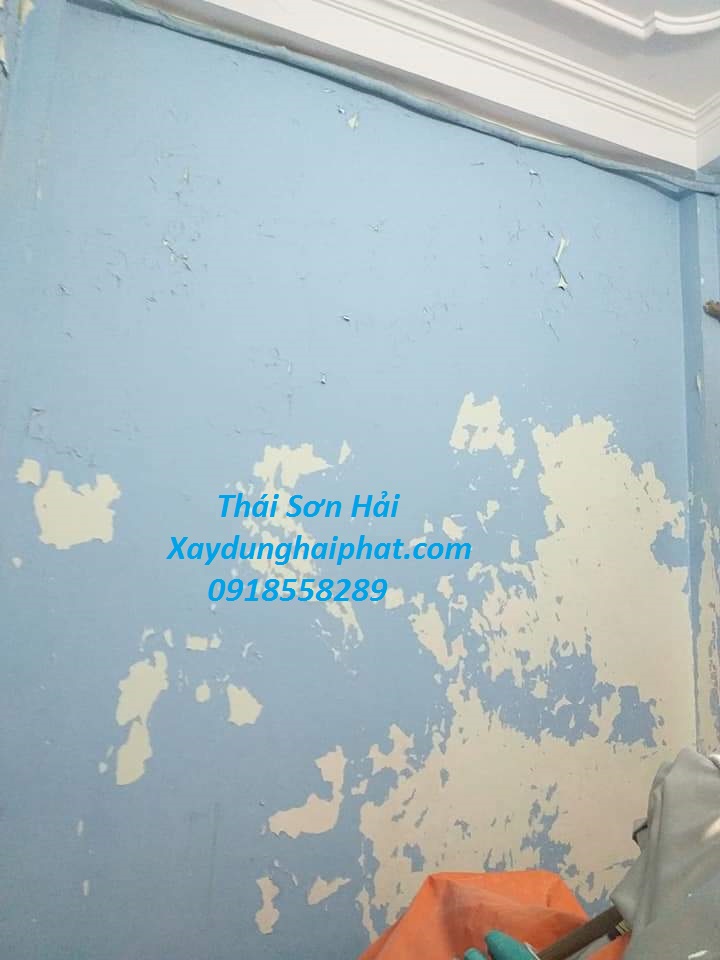 Cách làm sạch tường nhà bị mốc, sơn chống ẩm mốc cho tường nhà tốt ...