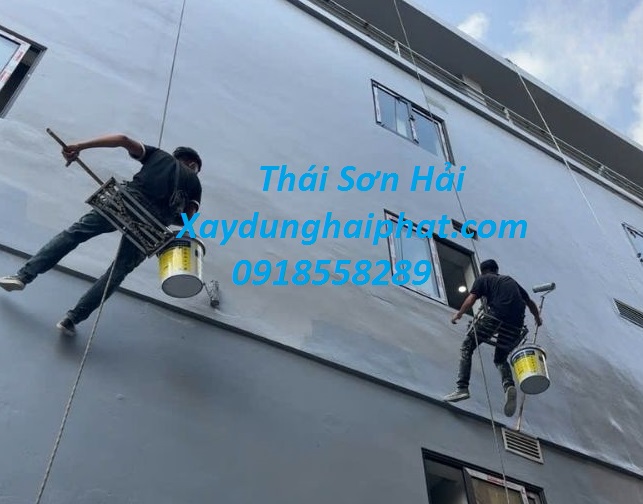 chong-tham-co-tran-Hoang-Mai-HN-triet-de-2