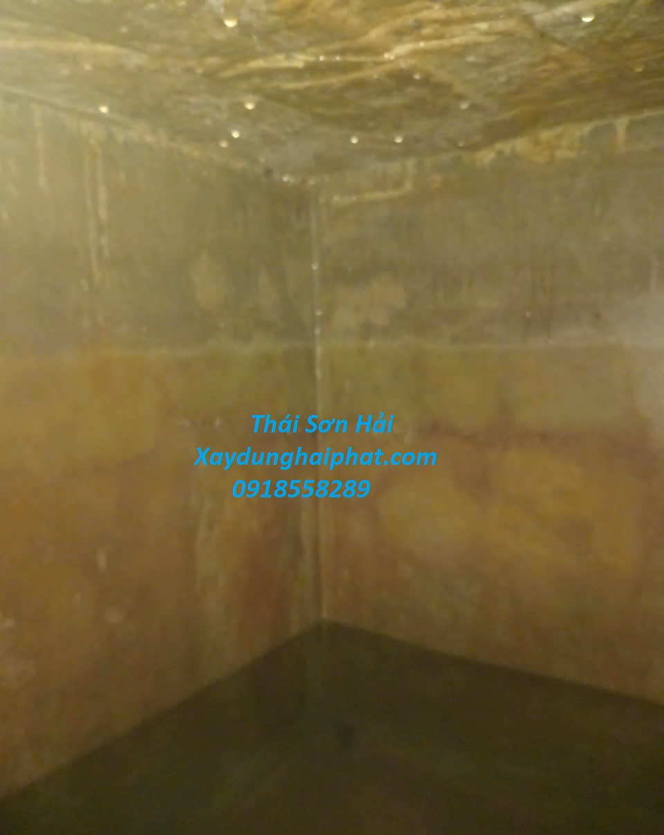 chuyen-gia-xu-ly-tham-nuoc-chong-tham-be-ngam-dan-dung-o-HN-1