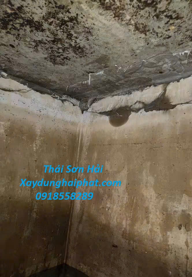 cong-ty-chong-tham-be-nuoc-an-toan-chong-tham-be-ngam-gia-re-Ha-Dong-HN-5