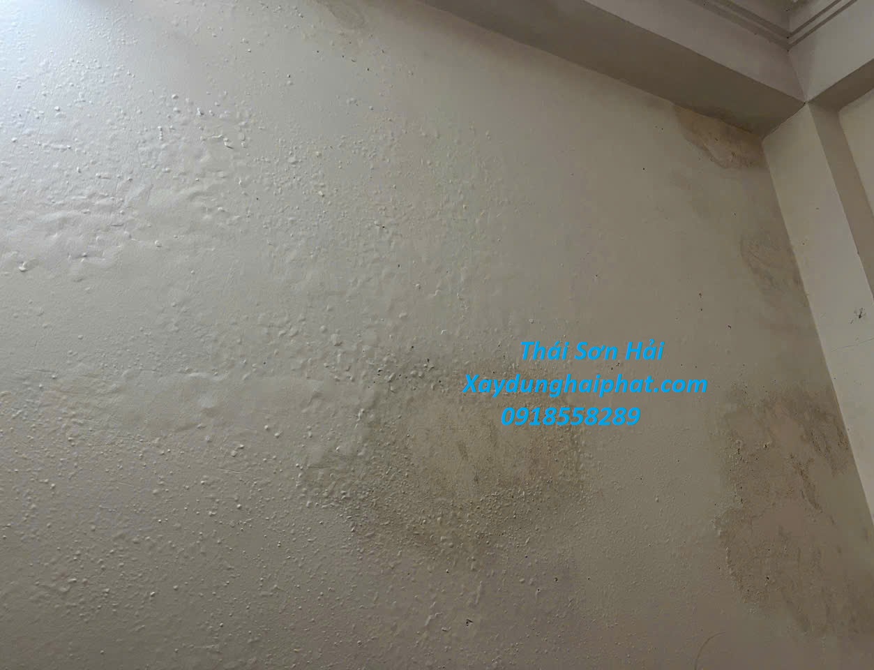 cong-ty-chuyen-xu-ly-nut-tran-tuong-chong-tham-dot-co-tran-nha-o-HN-5