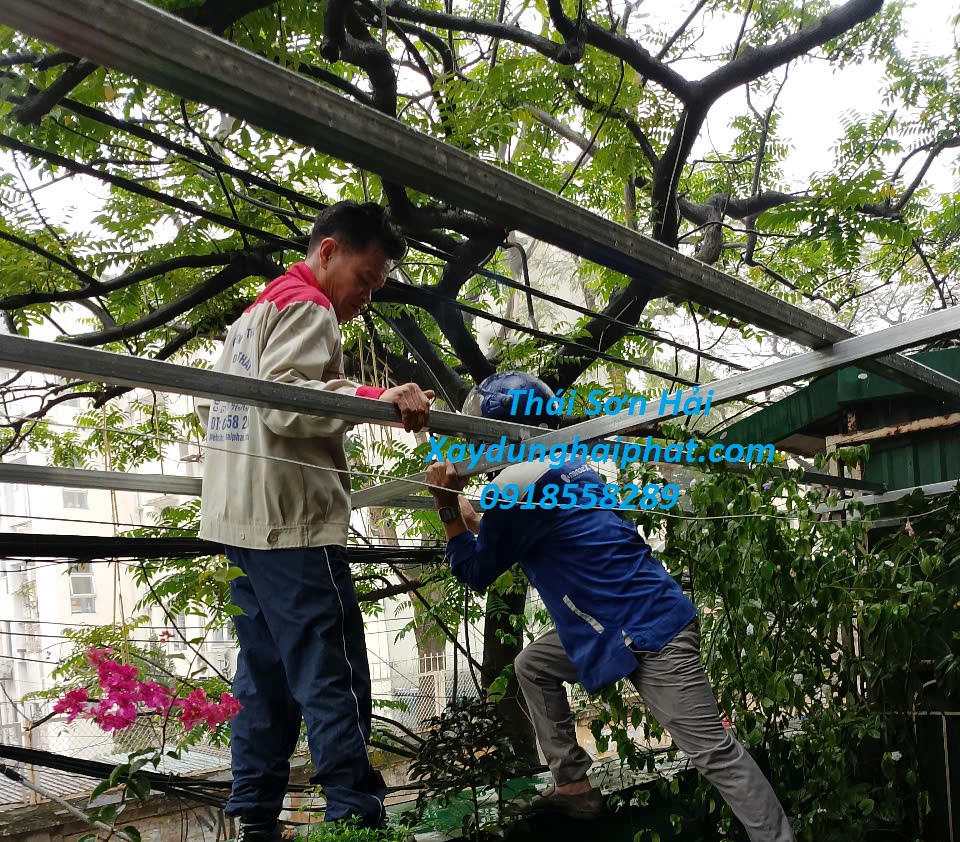 cong-ty-lam-mai-nhua-poly-uy-tin-cai-tao-thay-mai-nhua-poly-hong-o-HN-1
