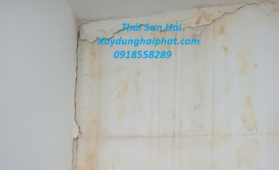 cong-ty-lan-son-chong-tham-tuong-mua-mua-o-HN-3