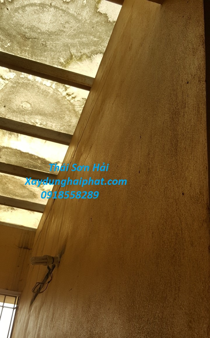 cong-ty-xu-ly-tham-nut-co-tran-tai-Ha-Noi-uy-tin-3