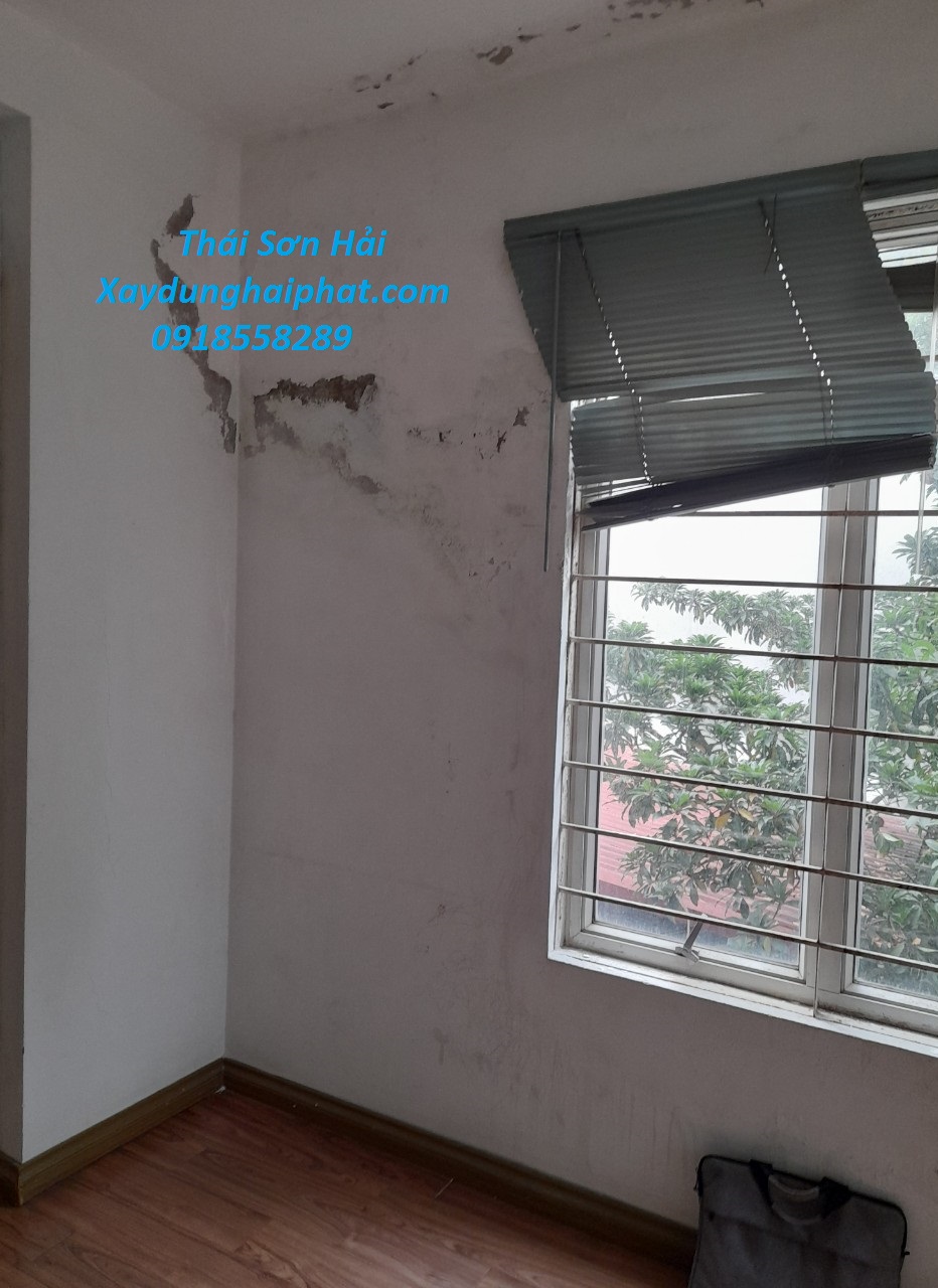 dich-vu-chong-tham-co-tran-nha-gia-re-uy-tin-Ha-Noi-5