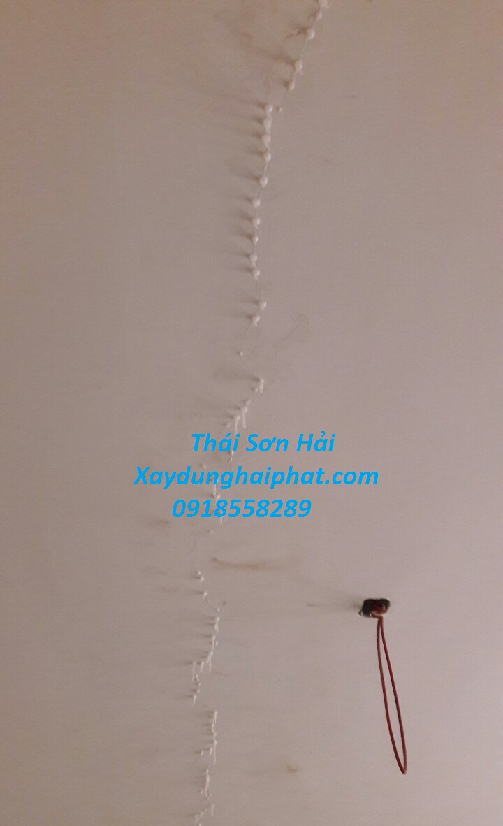 dich-vu-chong-tham-co-tran-triet-de-chuyen-nghiep-o-Ha-Noi-2