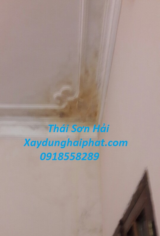 dich-vu-xu-ly-nut-co-tran-chong-tham-co-tran-nha-triet-de-o-HN-3