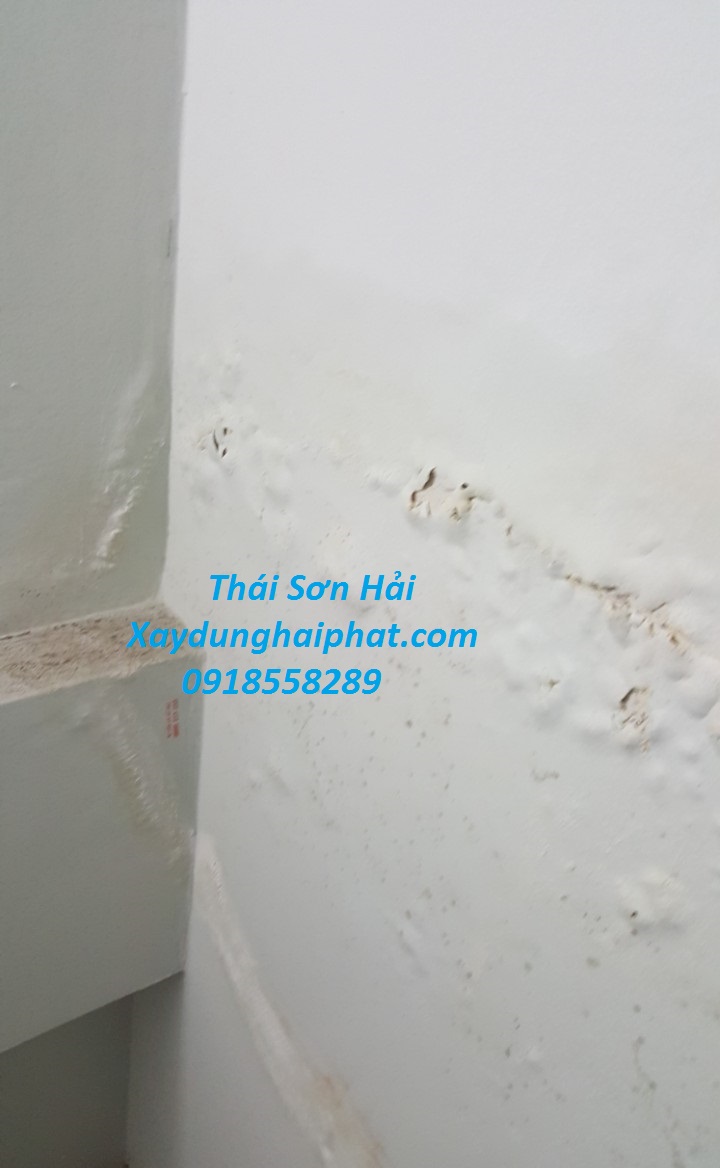 dich-vu-xu-ly-nut-co-tran-chong-tham-co-tran-nha-triet-de-o-HN-5