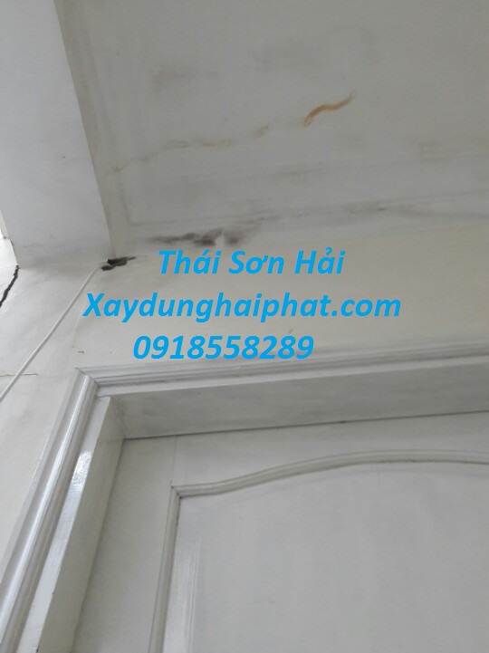 dich-vu-xu-ly-nut-tuong-chong-tham-co-tran-nha-o-Ha-Noi-5