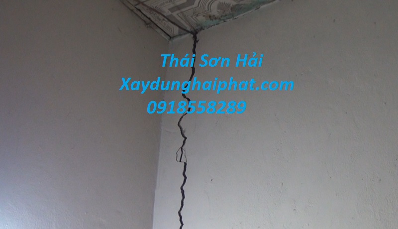 doi-ngu-xu-ly-nut-co-tran-uy-tin-chong-tham-co-tran-triet-de-o-HN-3