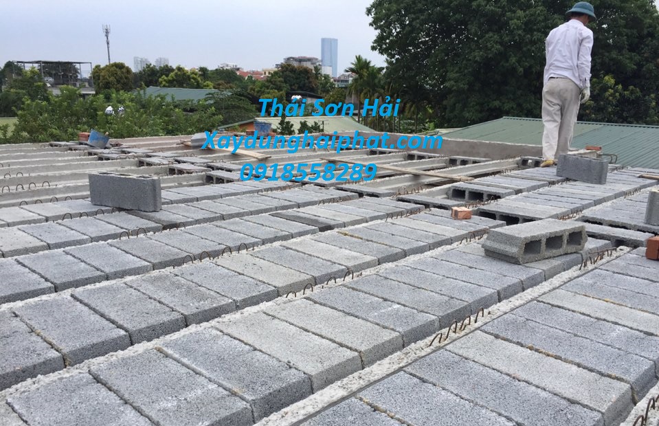 doi-thau-xay-dung-cai-tao-nang-tang-nha-cu-o-Hoang-Mai-HN-6