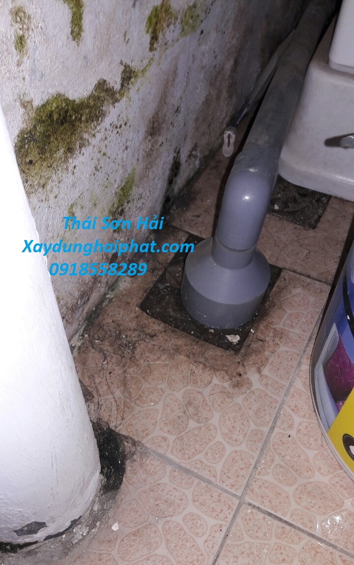thue-tho-chong-tham-nha-tam-cu-xu-ly-tham-toilet-triet-de-o-HN-5